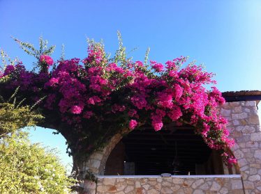 Villa Elandra